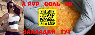 спиды Донской