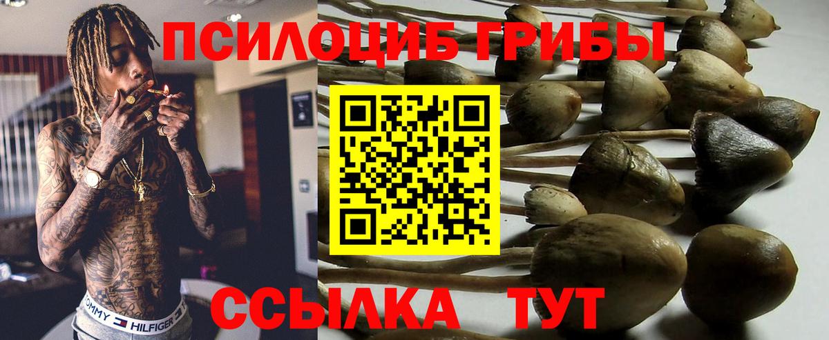 наркошоп  Вход с VPN  Новошахтинск  Галлюциногенные грибы Magic Shrooms 